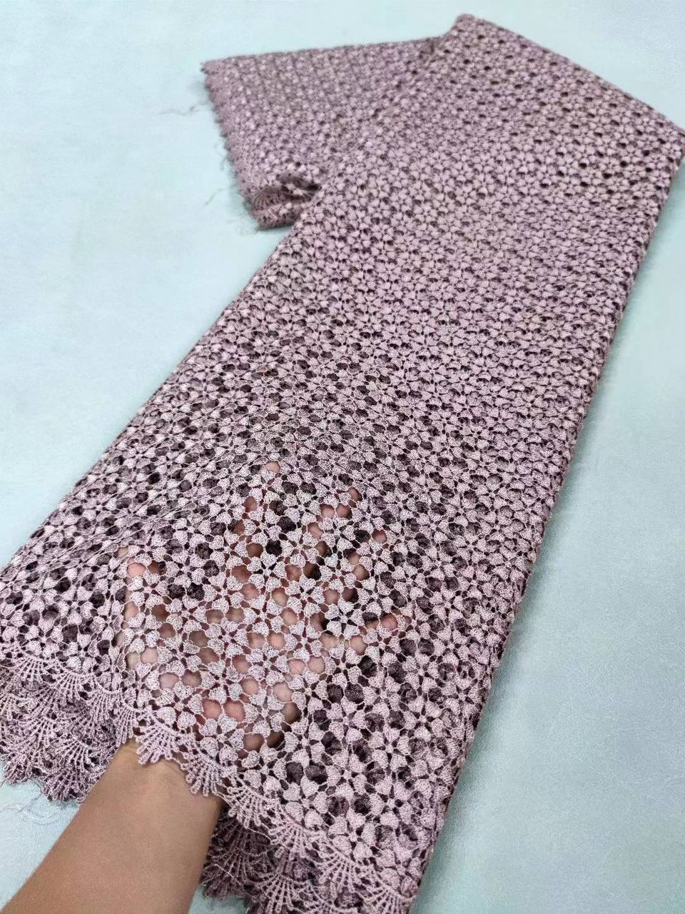 French Lace -Luxury sheer Embroidery