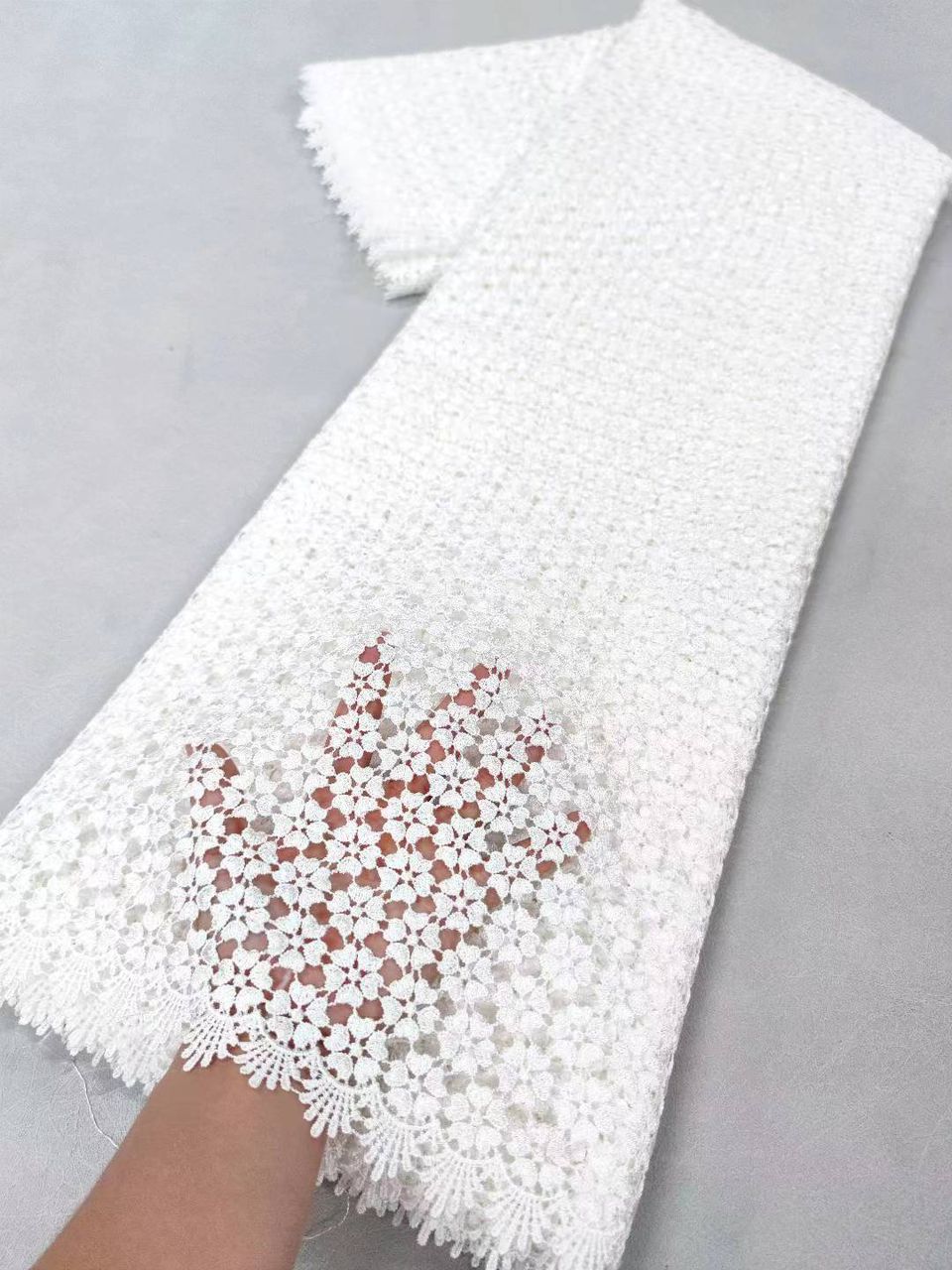 French Lace -Luxury sheer Embroidery