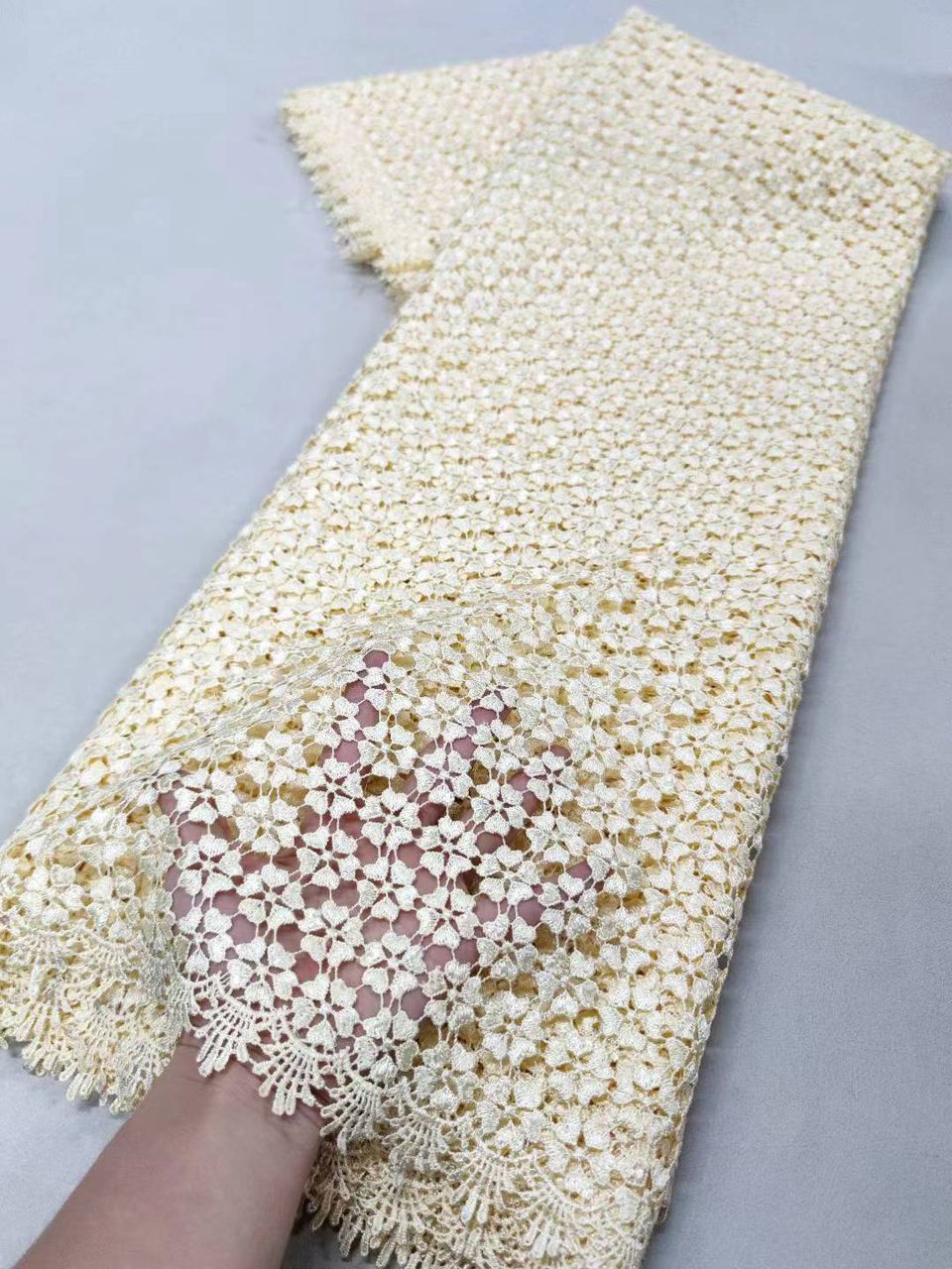 French Lace -Luxury sheer Embroidery